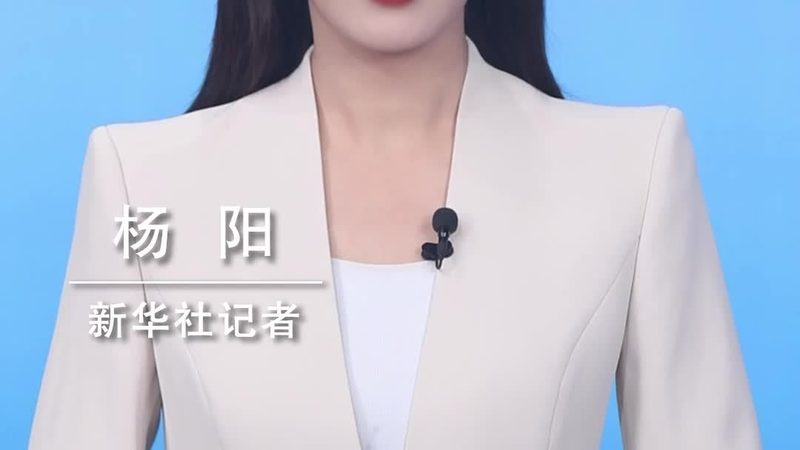 教育机构数字化转型：路径与策略**